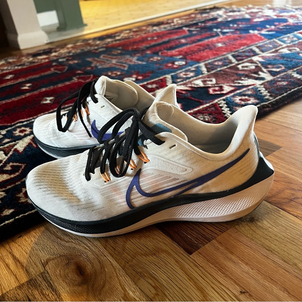 Nike Pegasus 39 Women’s Road Running Shoes